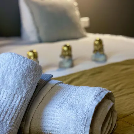 L'ecrin De La Resistance Appartement Montauban