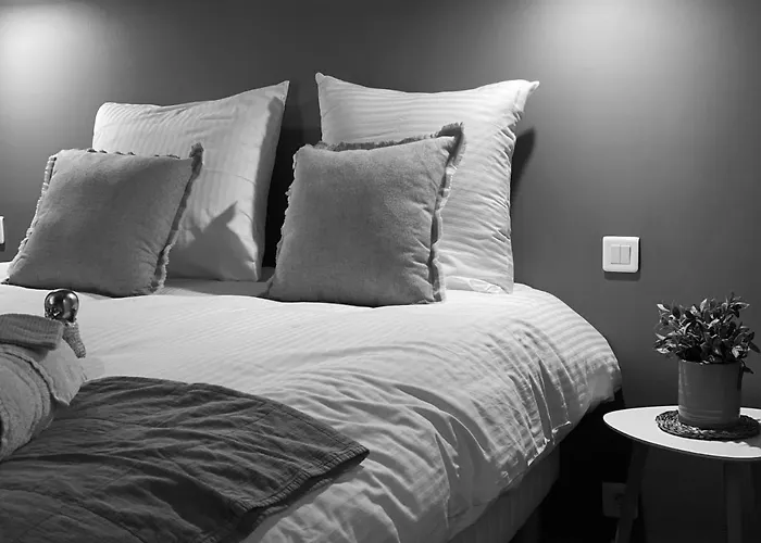 L'ecrin De La Resistance * Montauban